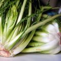 Puntarelle