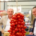 Tout savoir sur les tomates du Vésuve en grappe[...]