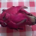 ... le Pitaya Rouge ou Fruit du dragon