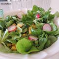 Salade de mâche et radis