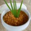 Dhal et Croquettes de Lentilles Corail