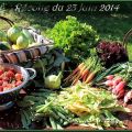 Belle récolte en ce 23 Juin aux Jardins d'Amélie