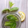 Chia fresca menthe citron !