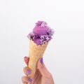 Sorbet au lilas  { Flowerpower }