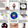 Santé naturelle versus vaccins (1 affiche et 2[...]