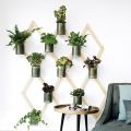 On rentre les plantes, les fines herbes. Un mur[...]