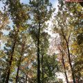 Couleur et menu de saison