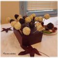 Cake Pops Nutella/Speculos