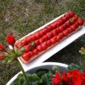 Tarte fraises rhubarbe, Recette Ptitchef