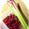 Tarte rhubarbe et griottes