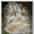 Gateau roulé pomme vanille