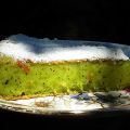 Gâteau sucré aux courgettes en clichés et[...]
