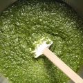 Pesto de fanes de radis