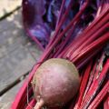 La cuisson des betteraves