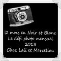 Le défi photo 2013 !