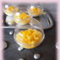 Panna cotta light vanille mangue