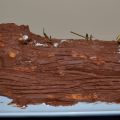 Menu de Noel - Christmas chocolate log - Buche[...]