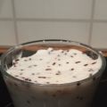 Crème stracciatella allégée