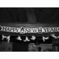 Good bye 2016...