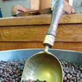 Torréfacteur, l'ultime artisan du café