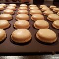 Macarons aux spéculoos
