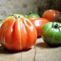 Salade de tomates multicolores, halloumi et[...]
