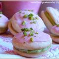 Whoopie pistache rose (suite) : ma[...]