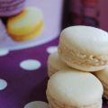 Macarons pomme vanille