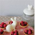 Minis tartelettes au chocolat et framboises