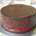 Gâteau au chocolat...le meilleur de Ricardo