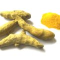Le curcuma