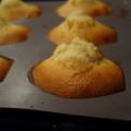 Madeleines au Miel 2pp