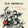 Le temps des pommes