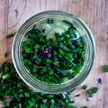 Hummus vert sans pois chiche