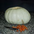 Marmelade de potiron aux noisettes et vanille