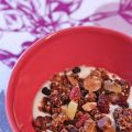 Granola maison bis (celui de LEON)