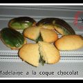 Madeleine coque choco vert....