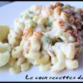 MACARONI AU THON ET FROMAGE