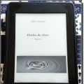 [Lecture] Ondes de choc par LIAUTAUD Didier