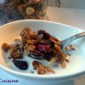 Muesli chocolat & cranberries