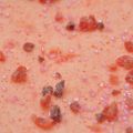 Parfait glacé fraise et Tagada