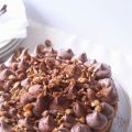 Dacquoise noisettes & mousse au chocolat