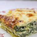 Lasagnes aux blettes, ricotta, parmesan et[...]