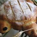 Pain aux oignons en forme de tortue