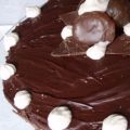 Gâteau moelleux au chocolat et à la mousse de[...]