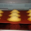 Madeleine un jour, madeleine toujours...