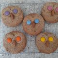 Biscuits hiboux au lin