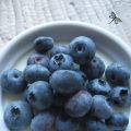 Panna cotta au citron et aux bleuets