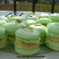 Macarons vanille - huile d