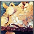 Gâteau au chocolat et noix sans beurre, ultra[...]